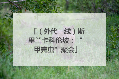 （外代一线）斯里兰卡科伦坡：“甲壳虫”聚会