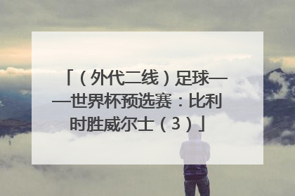 （外代二线）足球——世界杯预选赛：比利时胜威尔士（3）