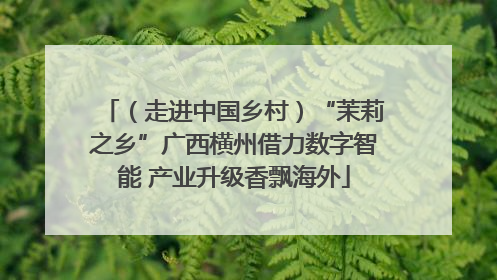 （走进中国乡村）“茉莉之乡”广西横州借力数字智能 产业升级香飘海外
