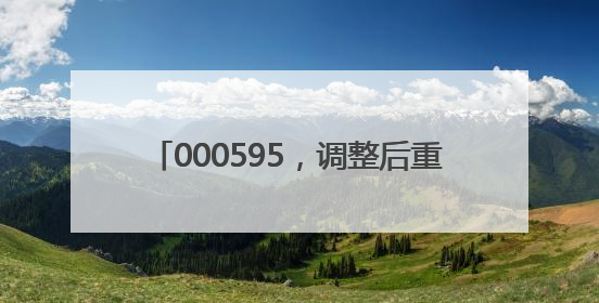 000595，调整后重大资产重组方案公布！
