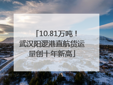 10.81万吨！武汉阳逻港直航货运量创十年新高