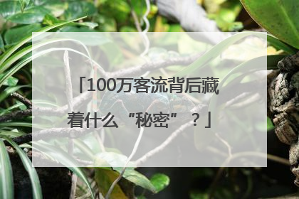 100万客流背后藏着什么“秘密”？