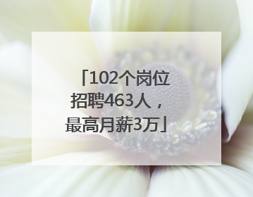 102个岗位招聘463人，最高月薪3万