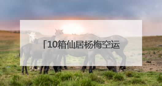 10箱仙居杨梅空运新加坡！今年首批“仙梅”抢“鲜”出国