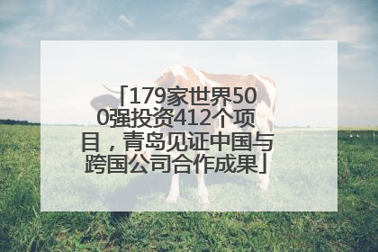 179家世界500强投资412个项目，青岛见证中国与跨国公司合作成果