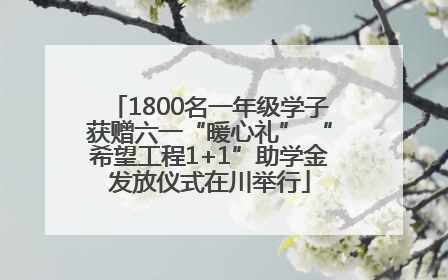 1800名一年级学子获赠六一“暖心礼” “希望工程1+1”助学金发放仪式在川举行