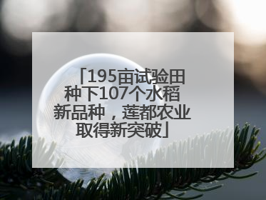 195亩试验田种下107个水稻新品种，莲都农业取得新突破