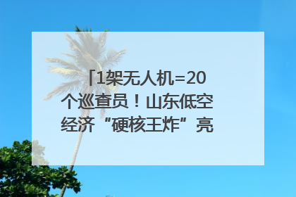 1架无人机=20个巡查员！山东低空经济“硬核王炸”亮相青岛，下一个万亿赛道藏在这里