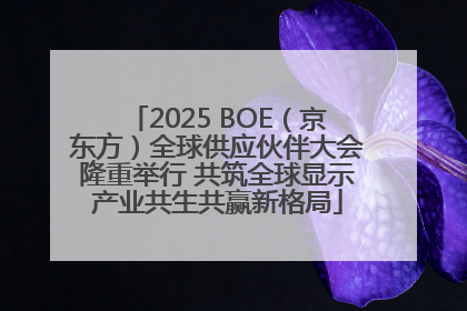 2025 BOE（京东方）全球供应伙伴大会隆重举行 共筑全球显示产业共生共赢新格局