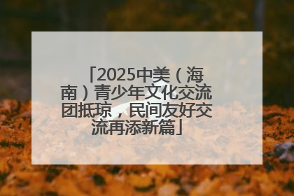 2025中美（海南）青少年文化交流团抵琼，民间友好交流再添新篇