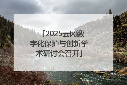 2025云冈数字化保护与创新学术研讨会召开