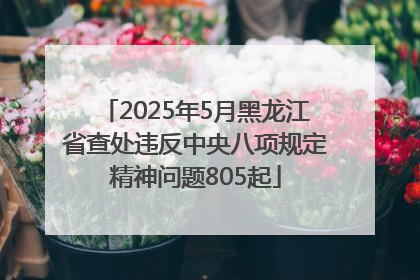 2025年5月黑龙江省查处违反中央八项规定精神问题805起