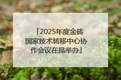 2025年度金砖国家技术转移中心协作会议在昆举办