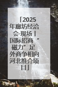 2025年廊坊经洽会·现场丨国际招商“磁力”足 外商争相向河北推介项目