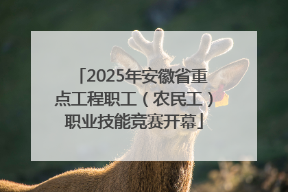 2025年安徽省重点工程职工（农民工）职业技能竞赛开幕