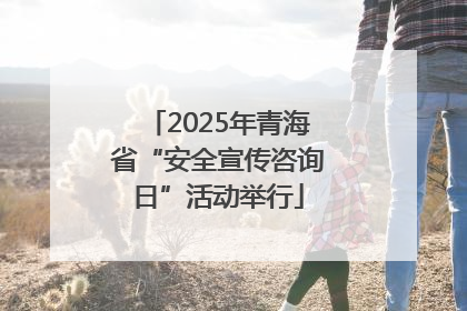 2025年青海省“安全宣传咨询日”活动举行