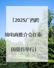 2025广西跨境电商推介会在泰国曼谷举行