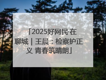 2025好网民·在聊城｜王晨：检察护正义 青春筑晴朗
