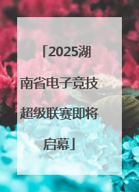 2025湖南省电子竞技超级联赛即将启幕
