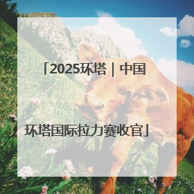 2025环塔｜中国环塔国际拉力赛收官
