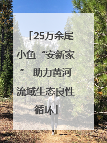 25万余尾小鱼“安新家” 助力黄河流域生态良性循环
