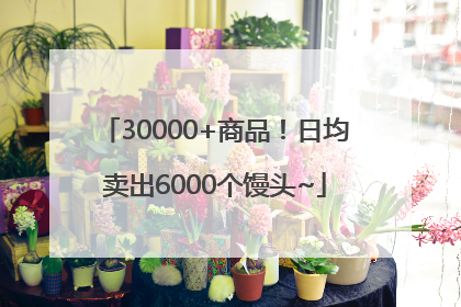30000+商品！日均卖出6000个馒头~