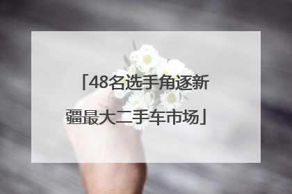 48名选手角逐新疆最大二手车市场