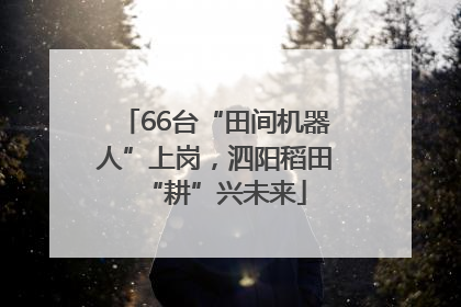 66台“田间机器人”上岗，泗阳稻田“耕”兴未来