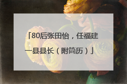 80后张田怡，任福建一县县长（附简历）