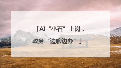 AI“小石”上岗，政务“边聊边办”