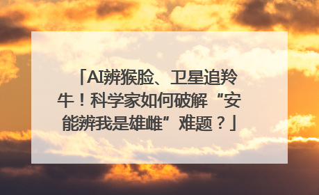 AI辨猴脸、卫星追羚牛！科学家如何破解“安能辨我是雄雌”难题？