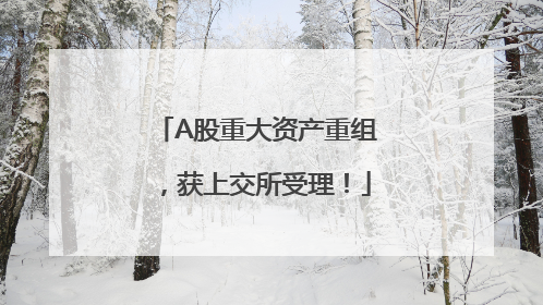 A股重大资产重组，获上交所受理！