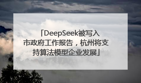DeepSeek被写入市政府工作报告，杭州将支持算法模型企业发展